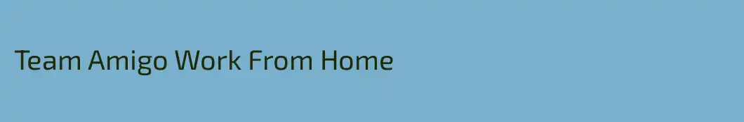 Team Amigo Work From Home
